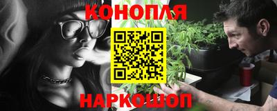 стаф Дубна