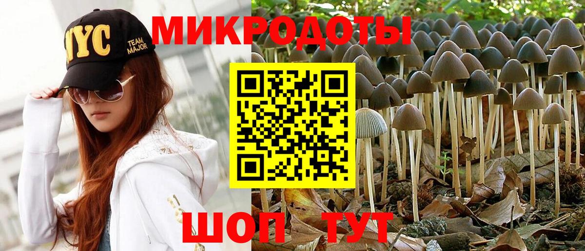 Михайловка  Галлюциногенные грибы Magic Shrooms  Вход с VPN 
