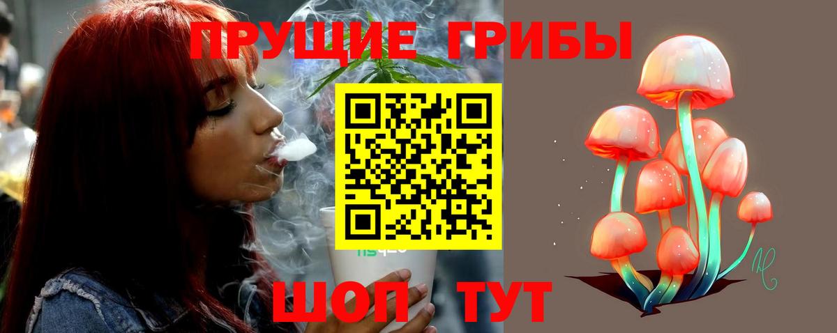 Галлюциногенные грибы ЛСД Михайловка